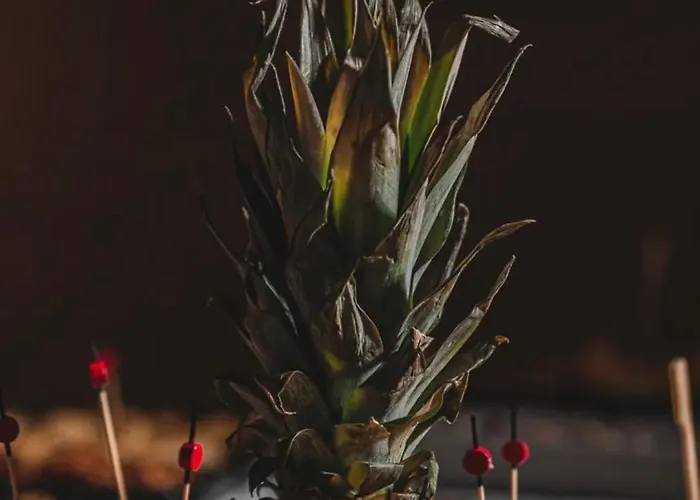 Apartment Gent's Luxury